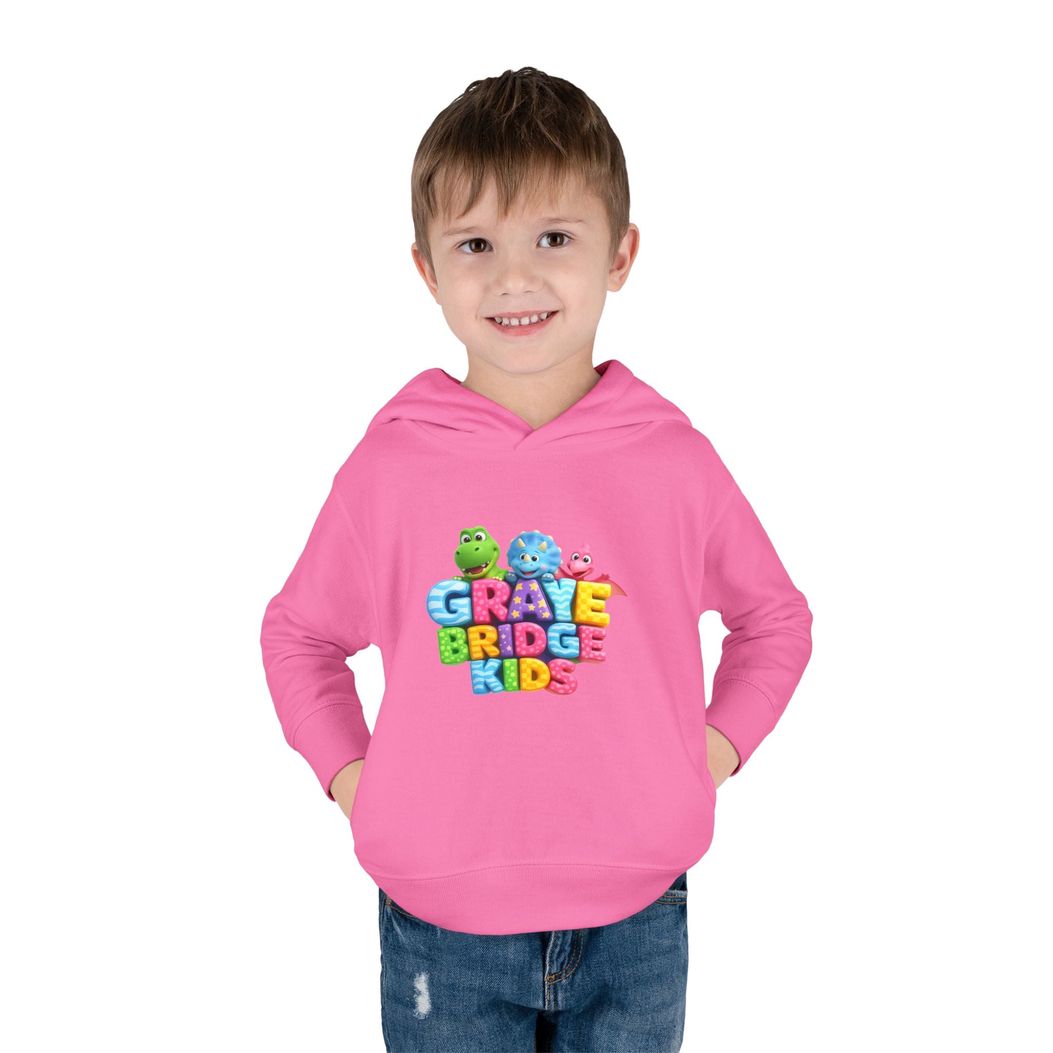Toddler Hoodie (Colorful Dinosaur Logo) Graye Bridge Kids